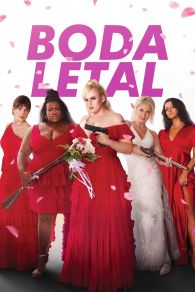 VER Duro de casar Online Gratis HD