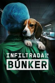 VER Infiltrada en el bÃºnker Online Gratis HD