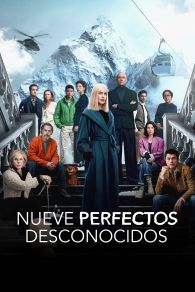 VER Nueve perfectos desconocidos Online Gratis HD