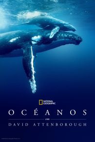 VER Océanos con David Attenborough Online Gratis HD