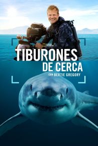 VER Sharks Up Close with Bertie Gregory Online Gratis HD