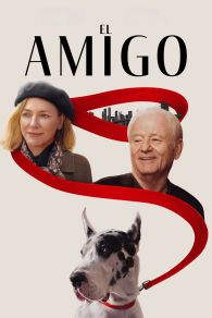 VER El Amigo Online Gratis HD