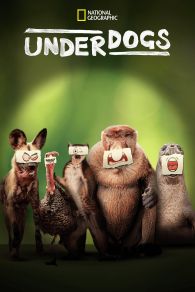 VER Underdogs Online Gratis HD